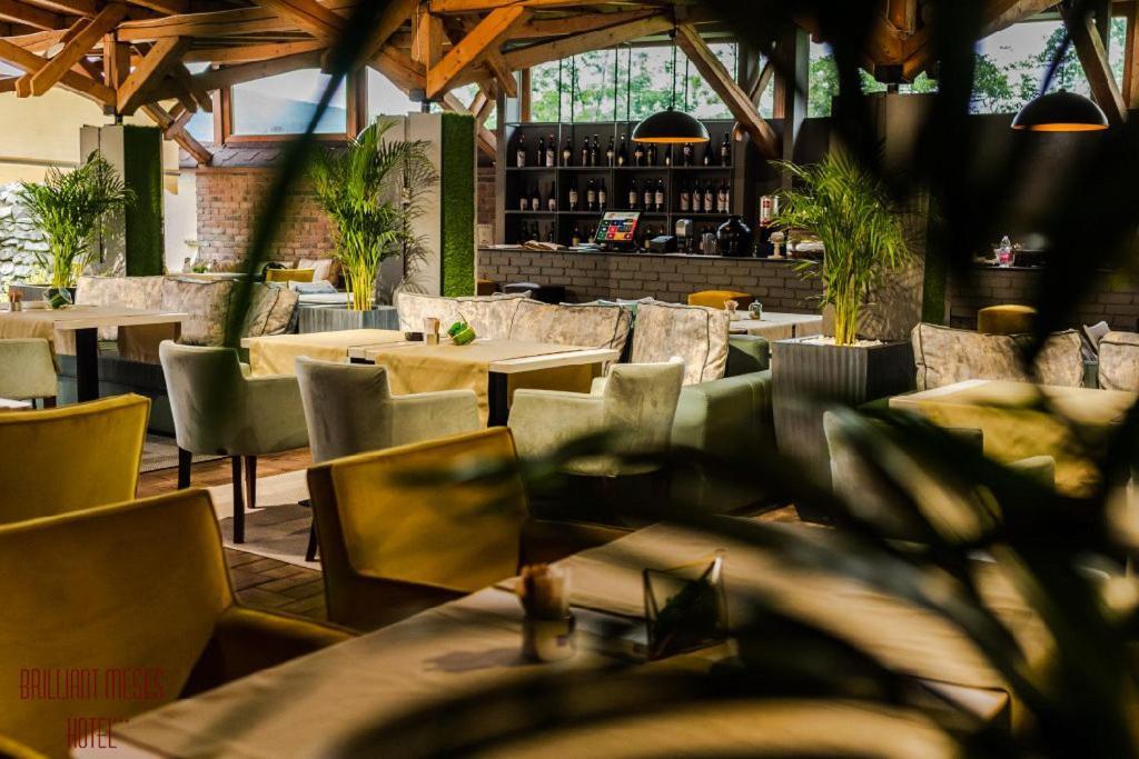 Hotel Brilliant Meses Zalău エクステリア 写真